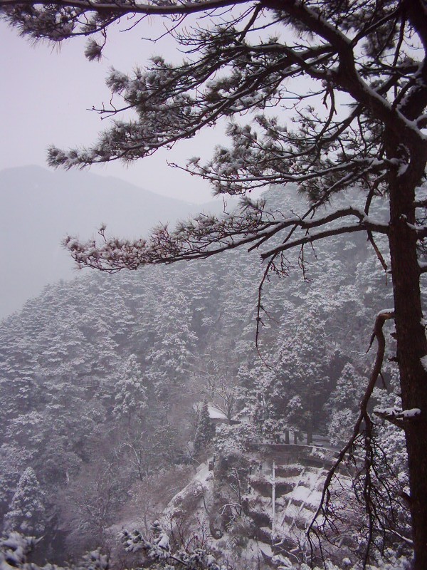 dsci0229.jpg