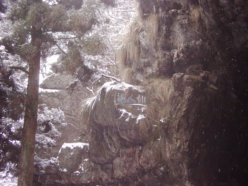 dsci0230.jpg