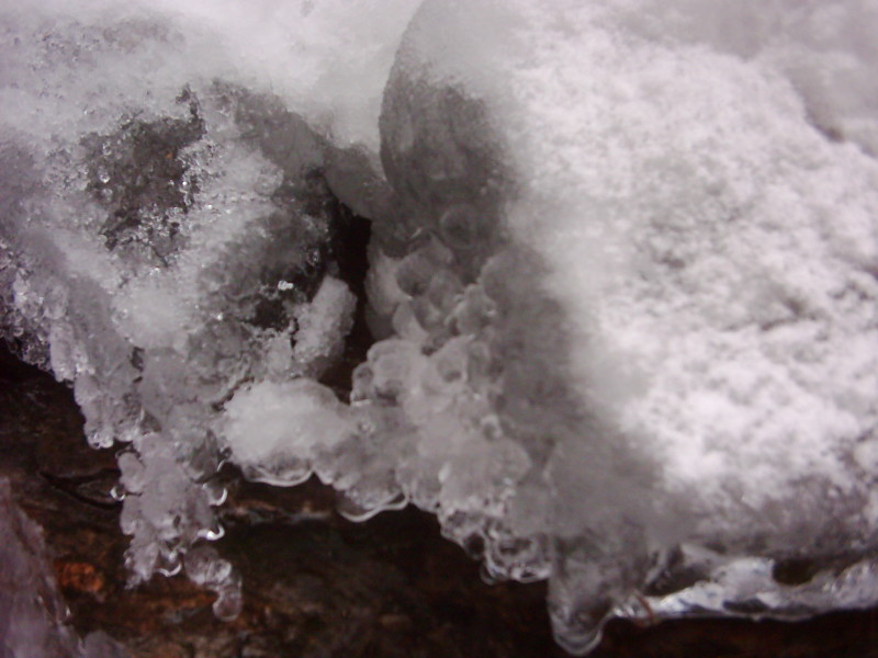 dsci0232.jpg