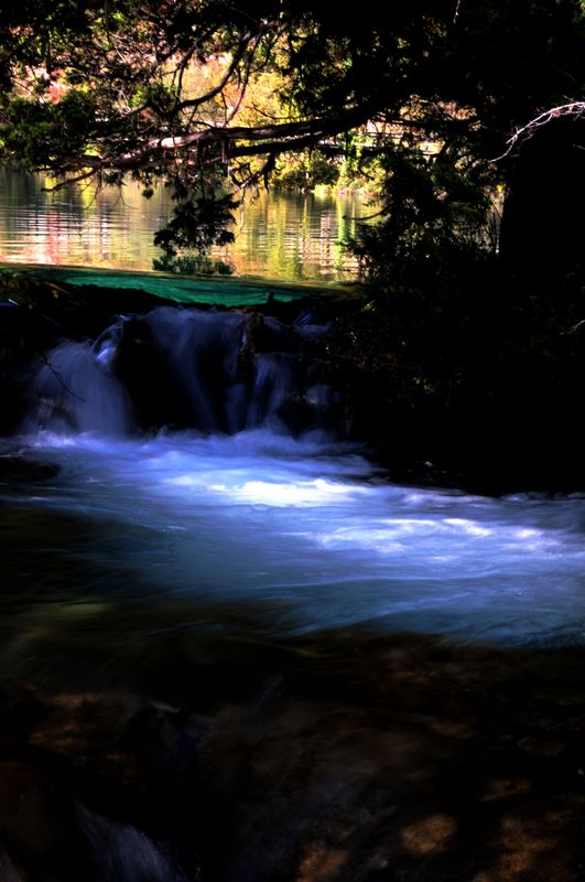 dsc_6684.jpg