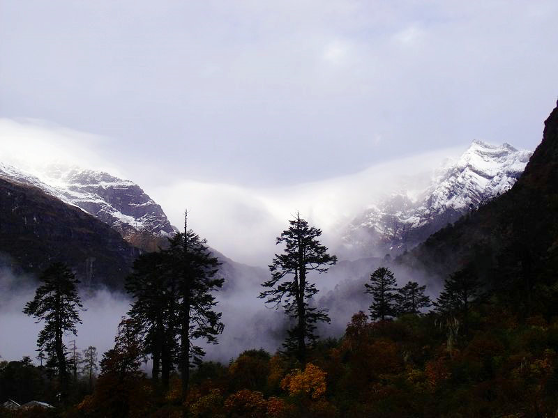 dscf9084.jpg