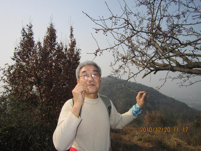  031.jpg