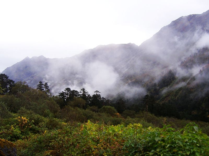 100_9426.jpg