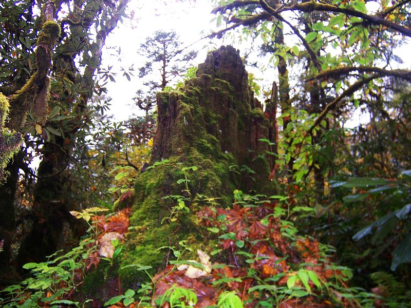 100_9429.jpg