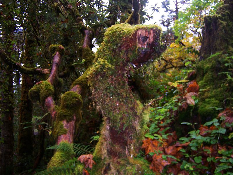 100_9430.jpg