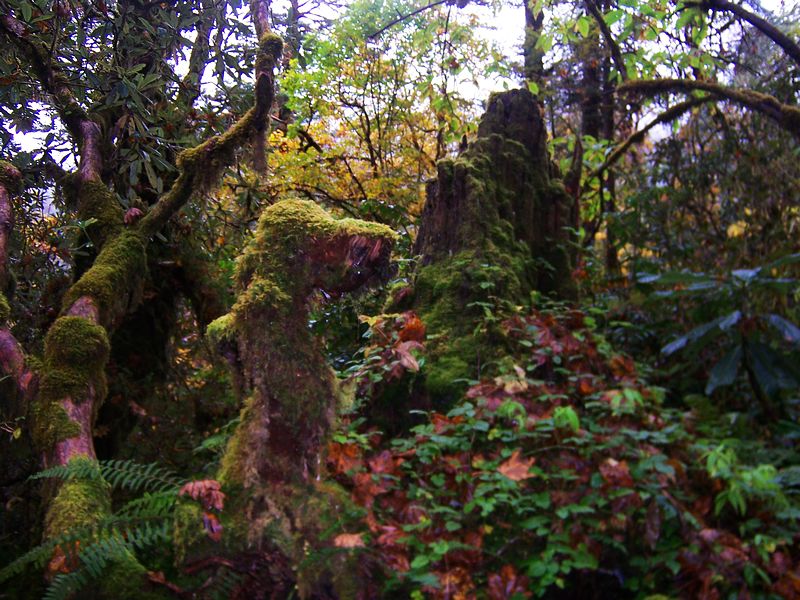 100_9428.jpg