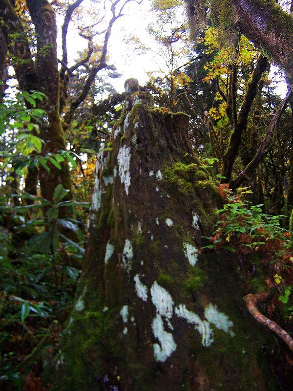100_9431.jpg