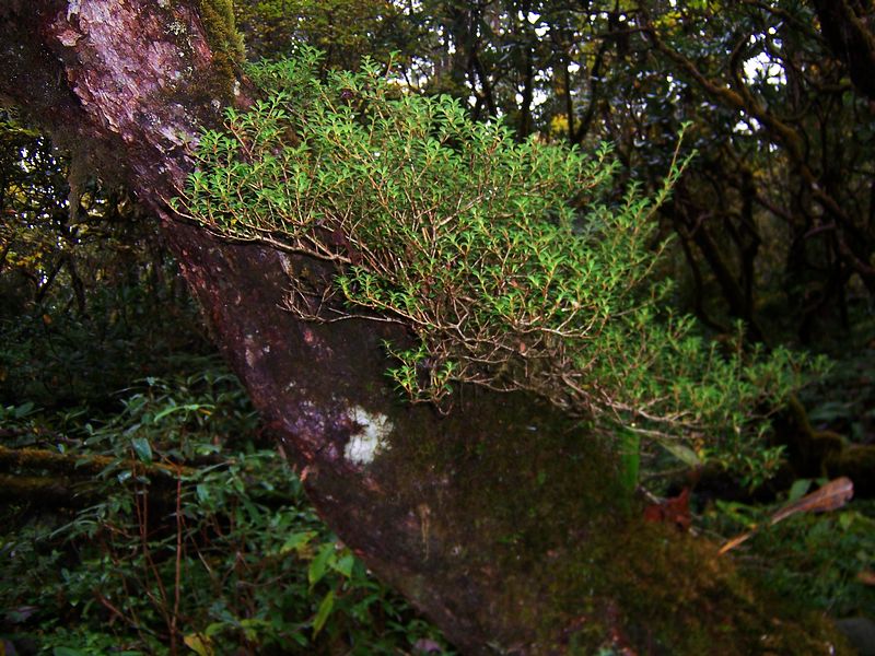 100_9432.jpg