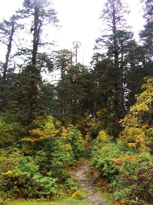 100_9435.jpg