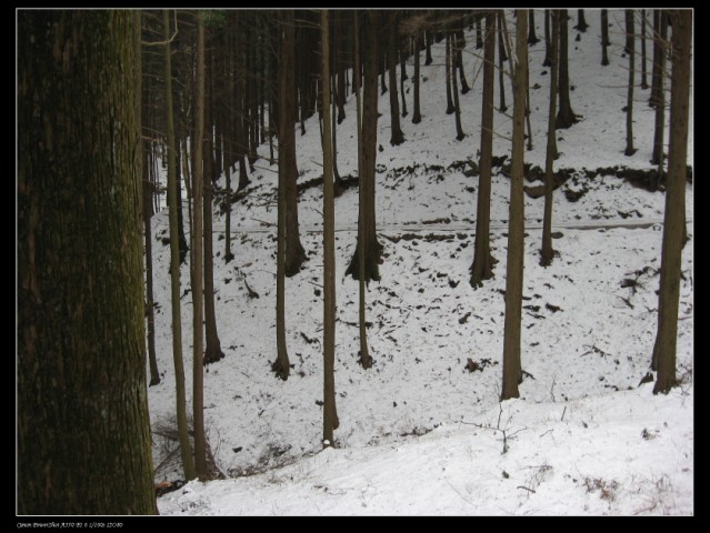 100_0284 .jpg