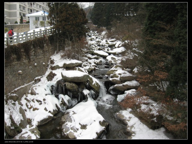 100_0291 .jpg