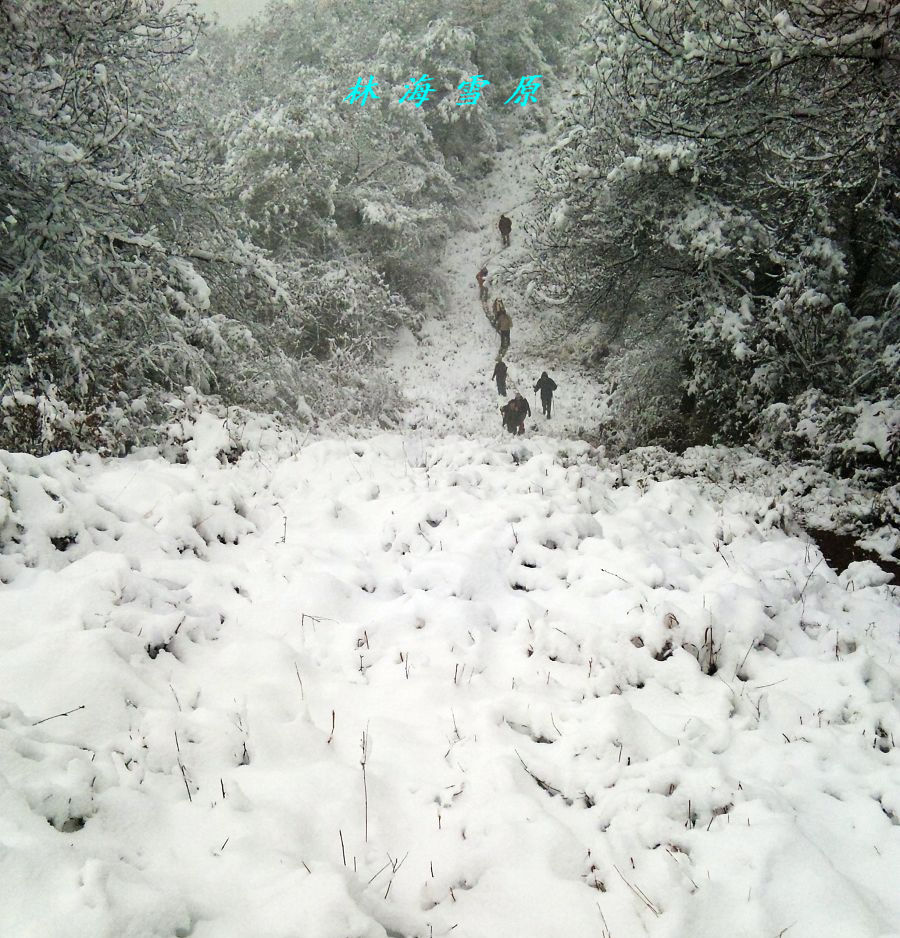 201112289425581-ѩɽ2011-01-20-111.jpg