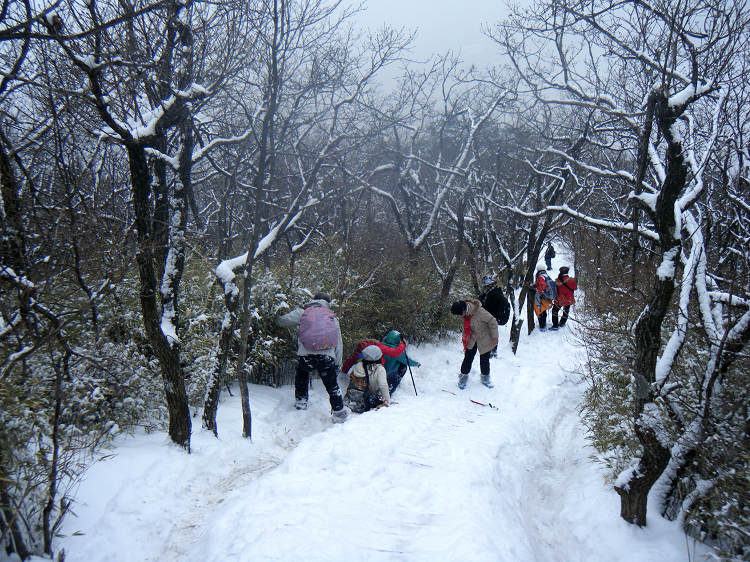 dscf1911.jpg