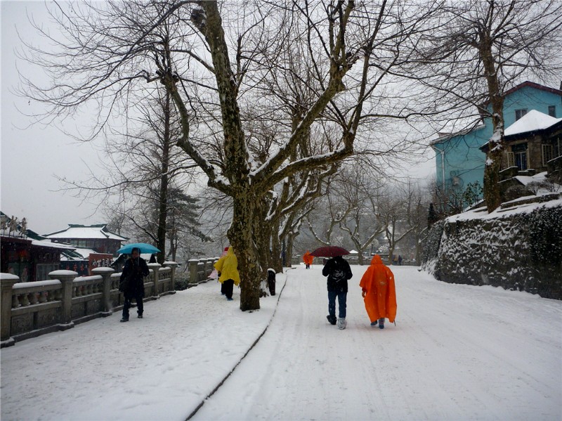 p1040307_.jpg