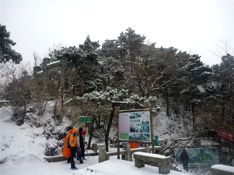 p1040337_.jpg