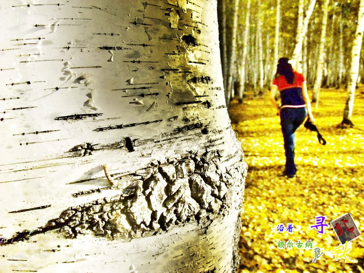 2010101010245287354.jpg