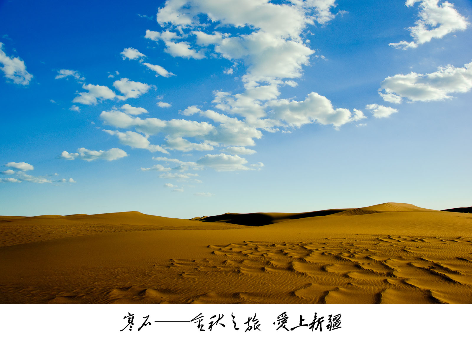 2010101113312422947.jpg