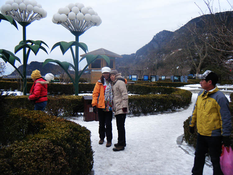 dscf1767.jpg
