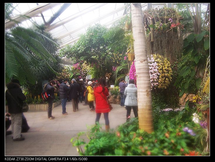 2011-1-23人ֲ԰ 012.jpg