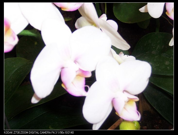 2011-1-23人ֲ԰ 031.jpg