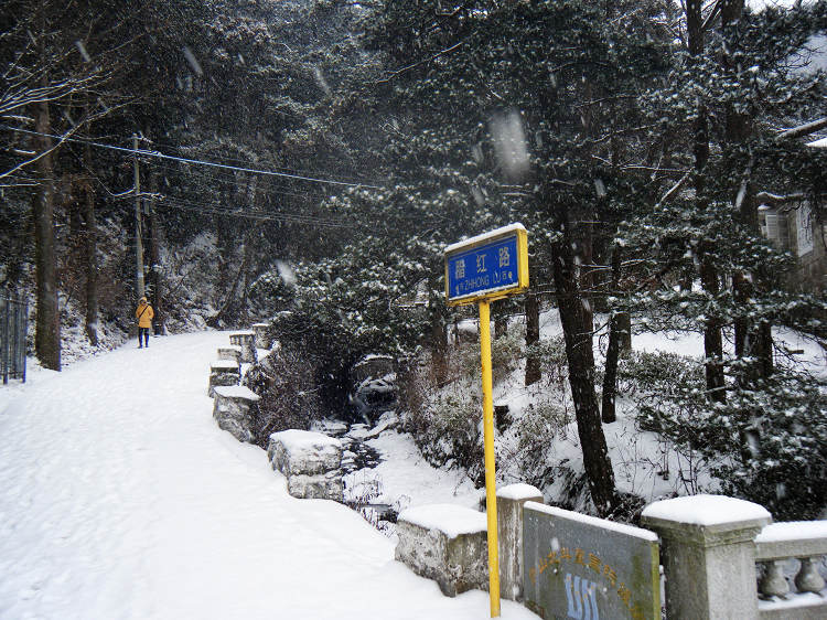 dscf1797.jpg