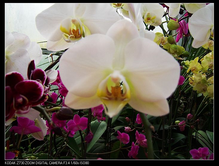 2011-1-23人ֲ԰ 041.jpg