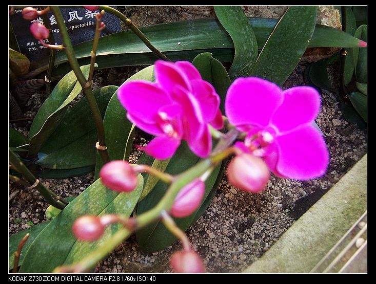 2011-1-23人ֲ԰ 037.jpg