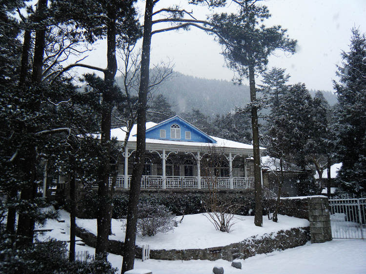 dscf1798.jpg