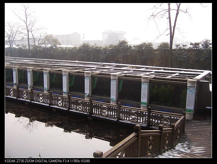 2011-1-23人ֲ԰ 050.jpg