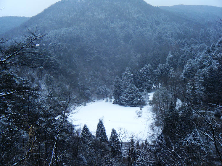 dscf1837.jpg