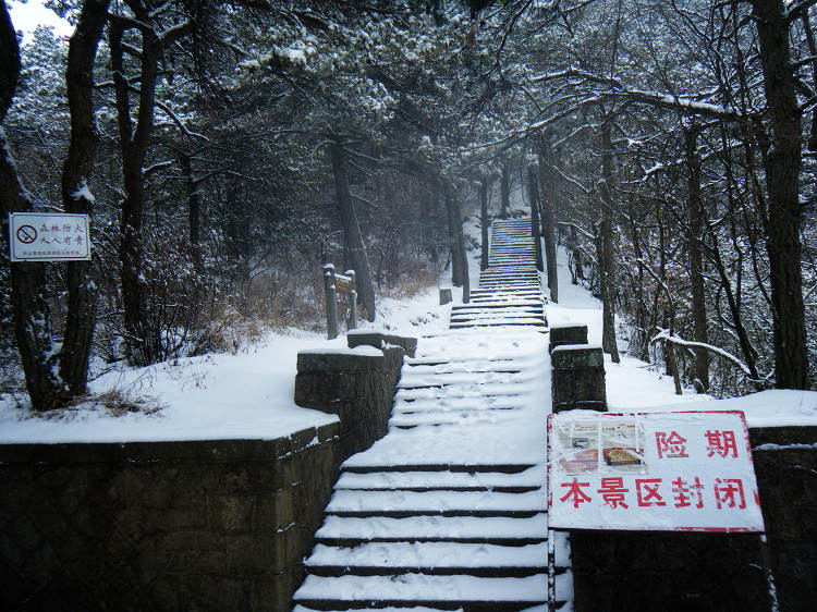 dscf1848.jpg
