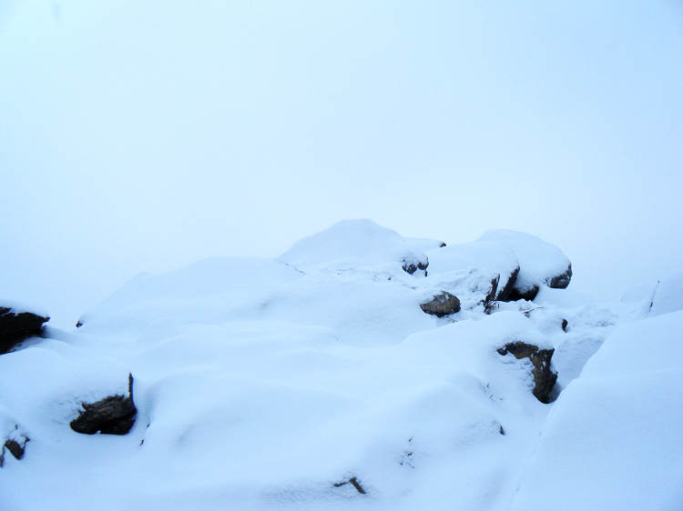 dscf1867.jpg