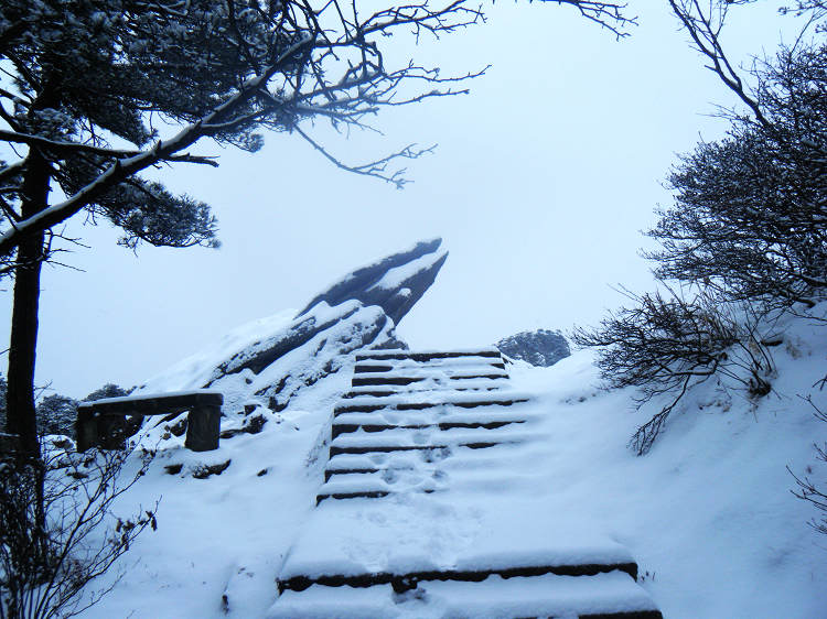 dscf1863.jpg