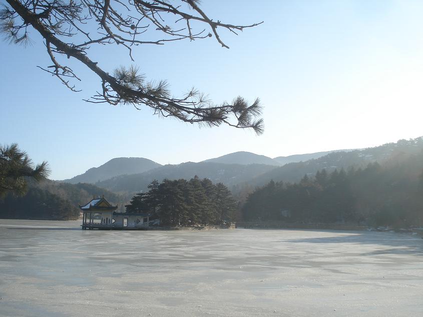 dsc05095.jpg