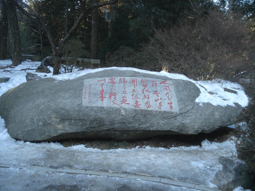 dsc05101.jpg