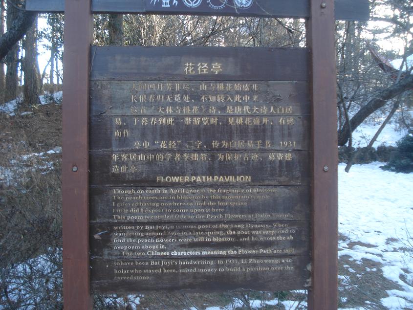 dsc05102.jpg
