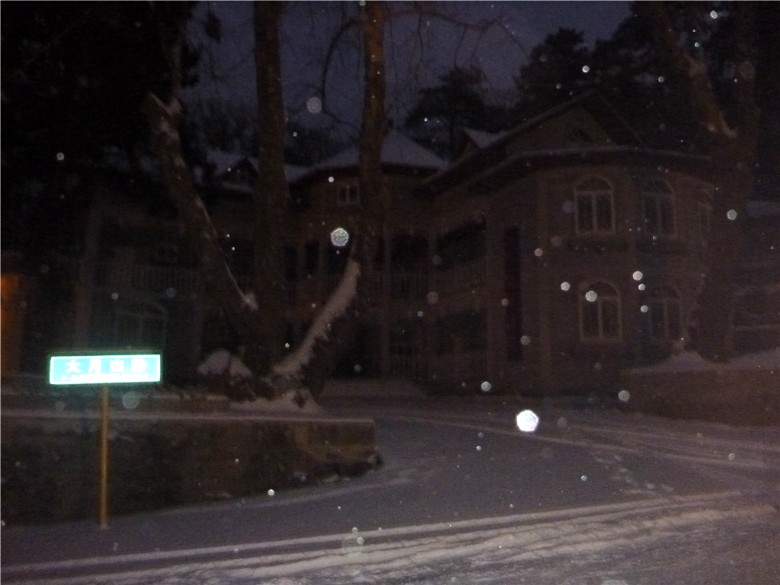 p1040456_.jpg