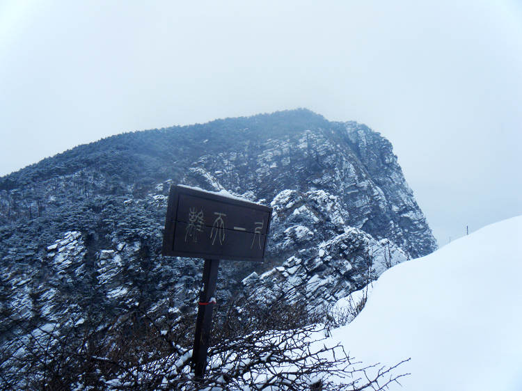 dscf1900.jpg