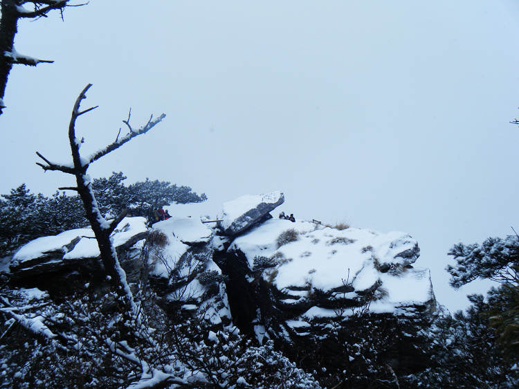 dscf1904.jpg