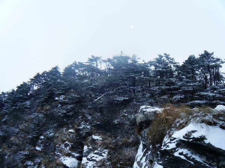 dscf1907.jpg