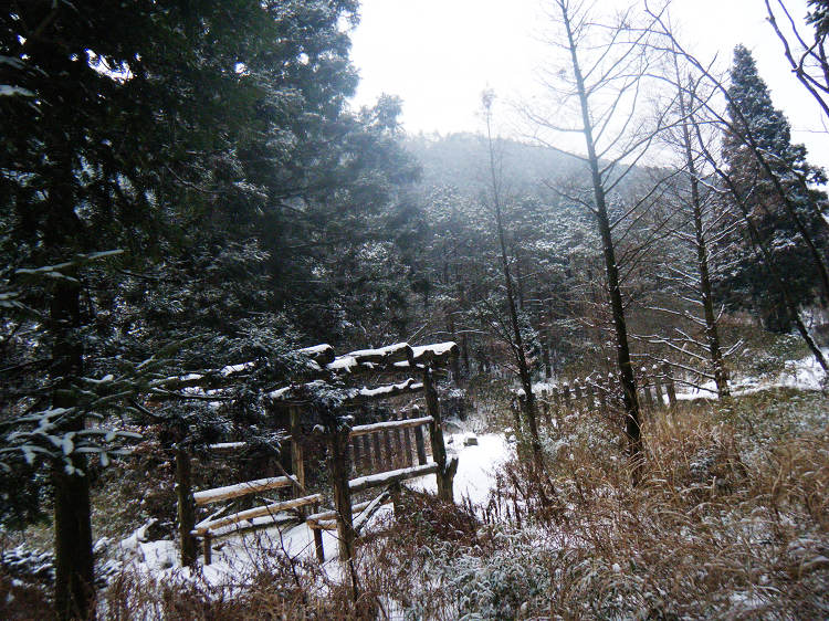 dscf1927.jpg