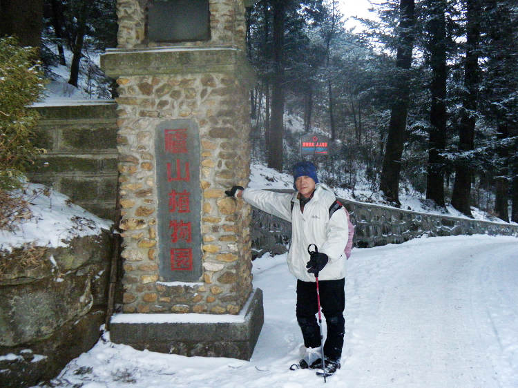 dscf1931.jpg
