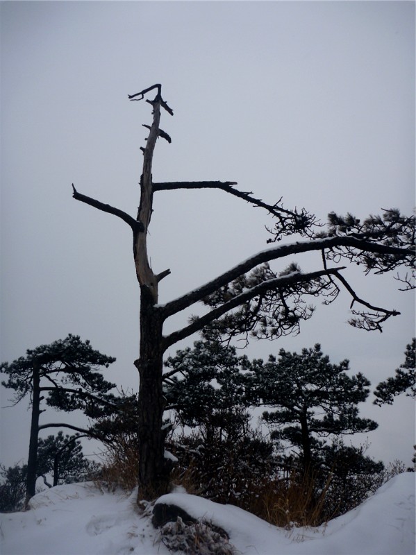p1040410_.jpg