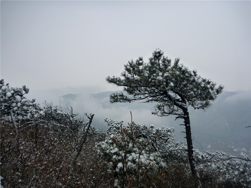 p1040411_.jpg