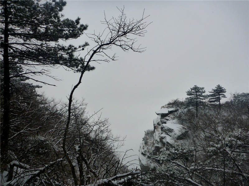 p1040415_.jpg