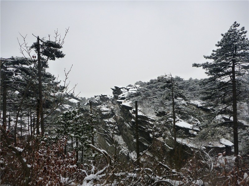 p1040414_.jpg
