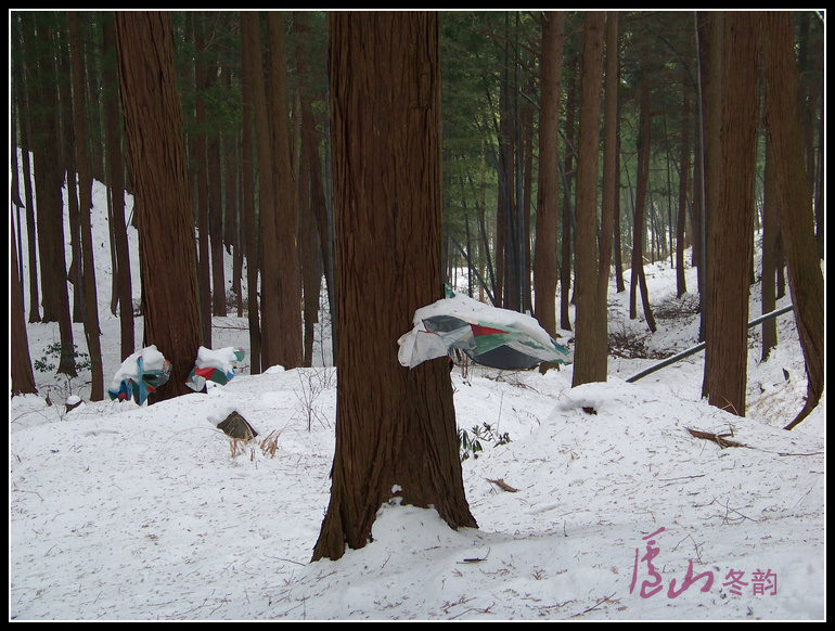 20110109ѩ®ɽm (23).jpg