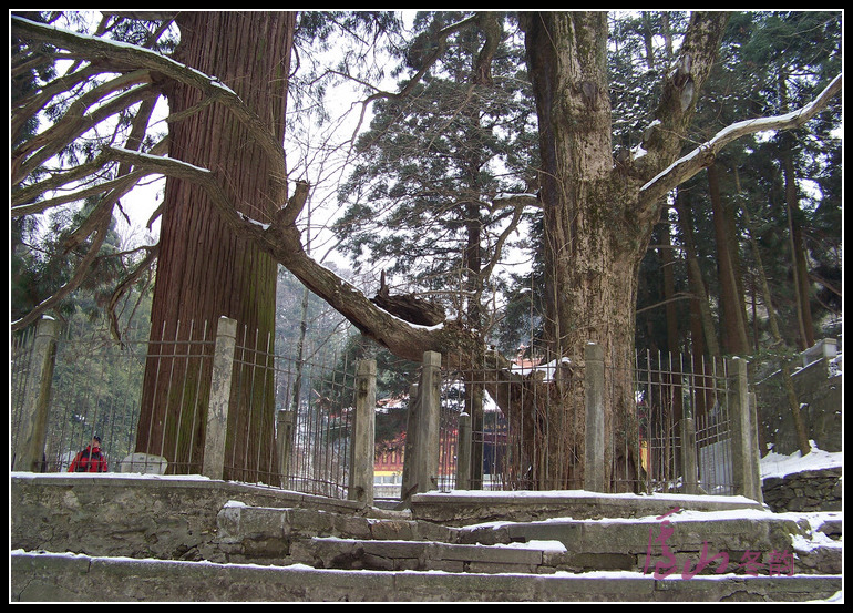 20110109ѩ®ɽm (38)1600.jpg