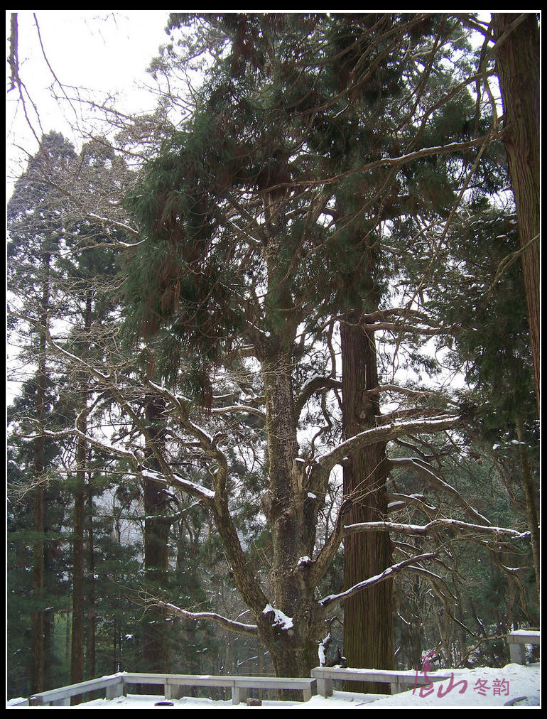 20110109ѩ®ɽm (41).jpg