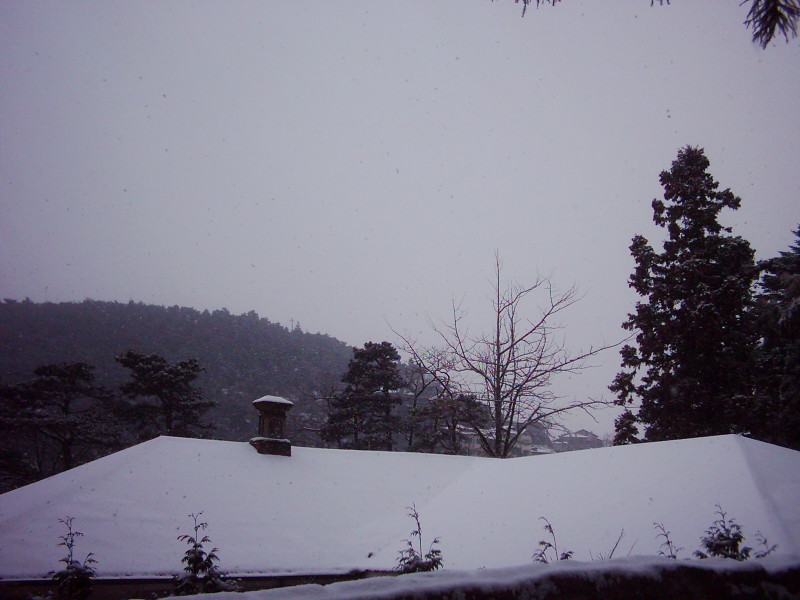 dsci0009.jpg